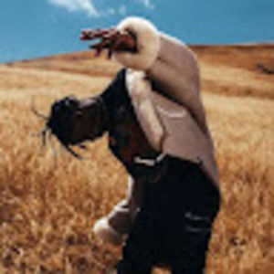 Meet your Posher, Owen